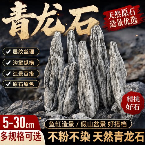 天然青龙石水陆缸假山造景