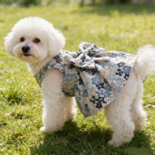 狗狗宠物衣服夏季新款碎花公主吊带裙泰迪比熊小狗衣服可爱连衣裙