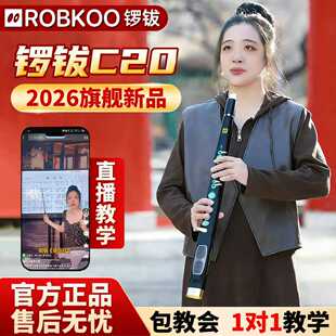 锣钹c20电吹管官方旗舰店新款 中老年乐器电萨克斯葫芦丝唢呐笛子