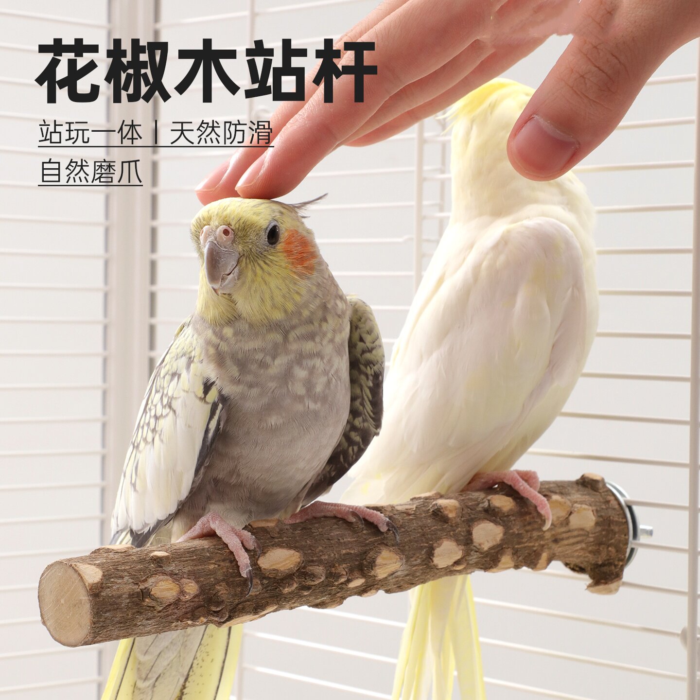 鹦鹉花椒木站杆天然鸟用磨爪棒