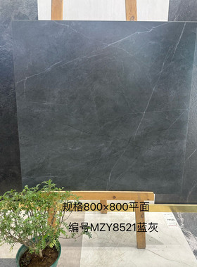 客厅地砖防滑仿古砖600600卧室地砖哑光质感砖阳台微水泥地面砖