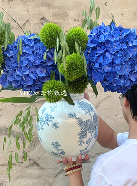 【云花甄选】宝蓝色绣球鲜切花家庭花瓶水养顺丰非常美观云南直发