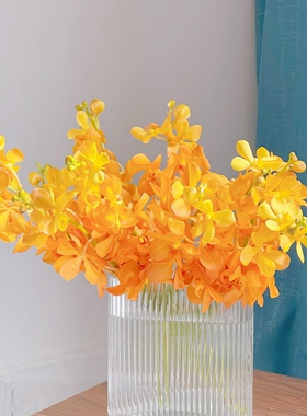 【云花甄选】橙色小洋兰高级质感鲜切花实拍云南直发插瓶水养顺丰