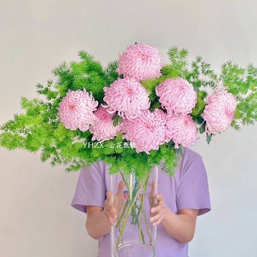 【云花甄选】真的鲜花大花朵浅粉色牡丹菊图片实拍水养瓶插花空运