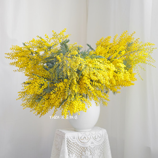 【云花甄选】羽叶金合欢圣诞花鲜切花室内家居装饰水养富贵观赏花
