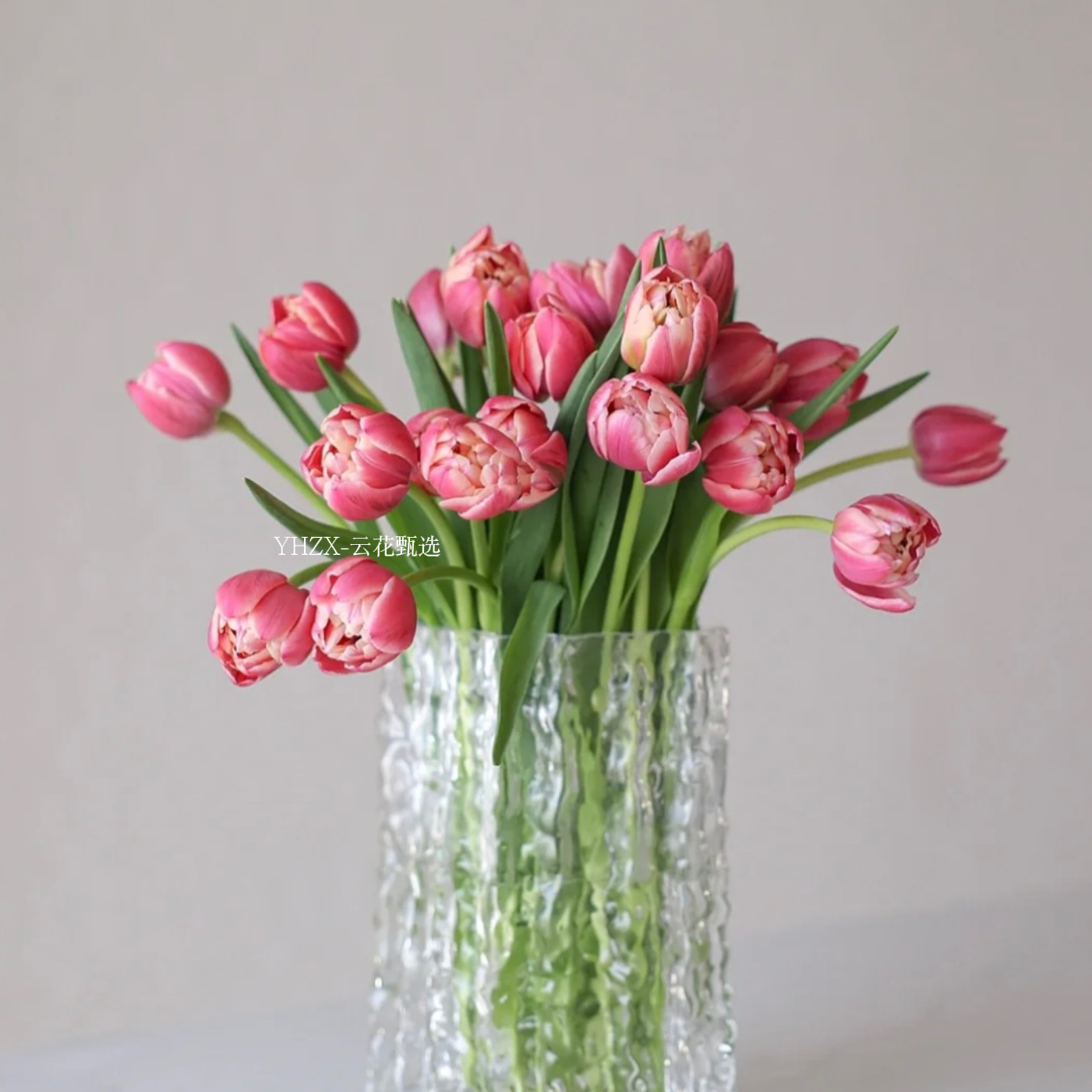 【云花甄选】粉色郁金香草莓松饼鲜花插花水养云南直发手捧花空运