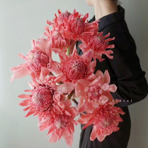 【云花甄选】瓷玫瑰小众稀有精品应季鲜花粉色家庭瓶插花装饰顺丰