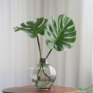 【云花甄选】龟背叶水培真的鲜花懒人推荐花期长耐养瓶插客厅卧室