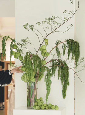 【云花甄选】绿色山归来柔丽丝可做干花绿色插花花期长真的鲜切花