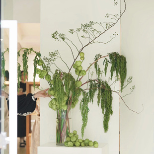 鲜切花 绿色山归来柔丽丝可做干花绿色插花花期长真 云花甄选