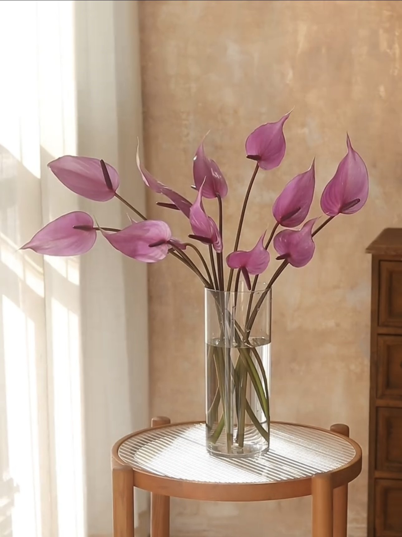 【云花甄选】高质感绿掌鲜切花插花水养绿植家居装饰云南直发顺丰