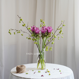 【云花甄选】玫红色姜荷花绿色海棠果真的鲜花家居装饰插花花期长