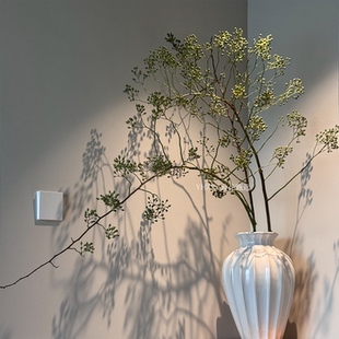 【云花甄选】山归来可做干花绿色果实花期长云南直发瓶插水养空运