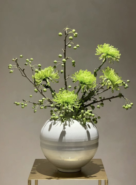 【云花甄选】绿色烟花菊海棠果鲜切花真花云南直发瓶插花水养高级