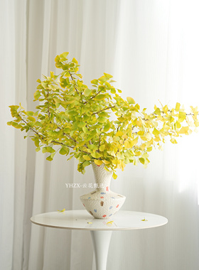 【云花甄选】黄色银杏叶鲜切枝室内秋意家居装饰水养瓶插观赏空运