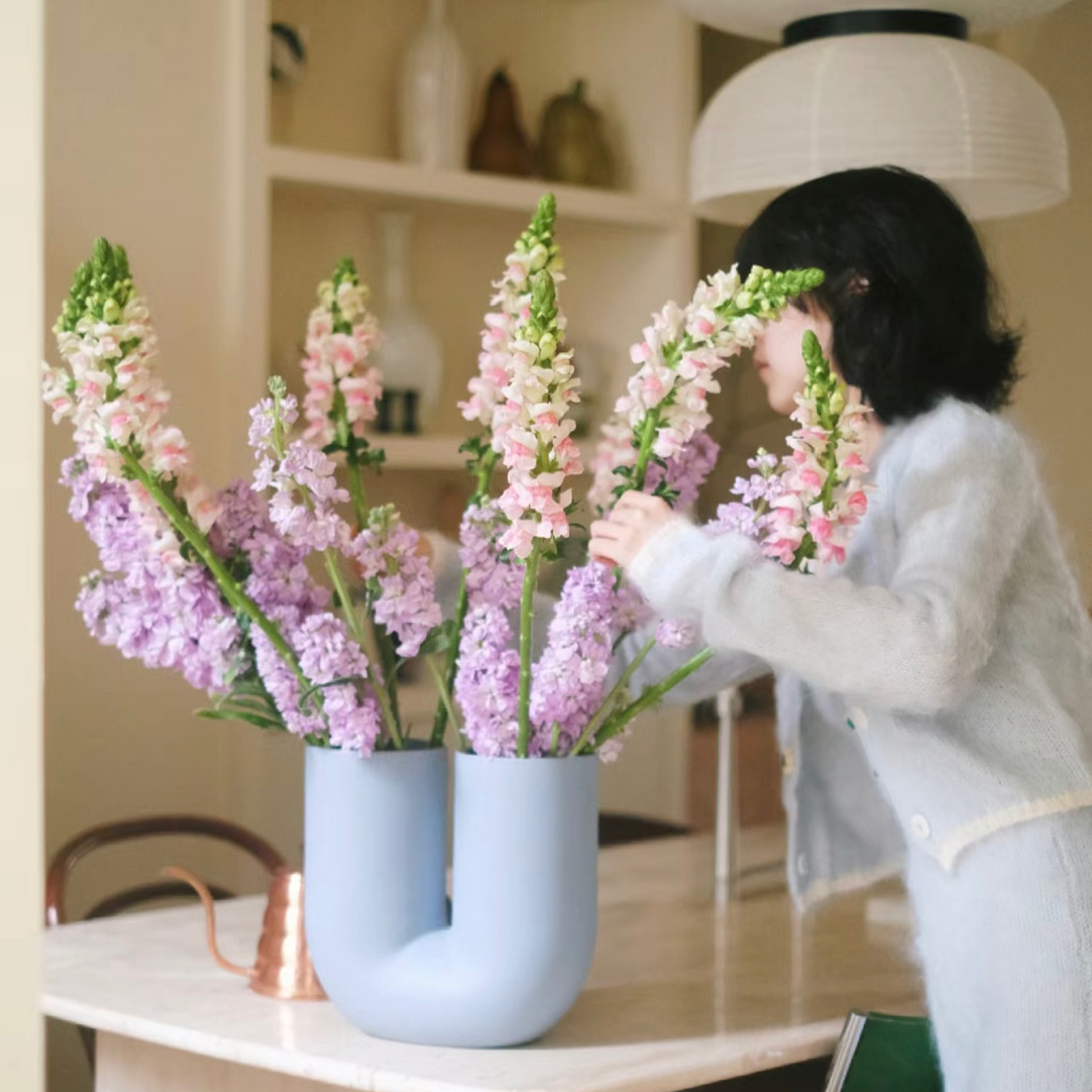 【云花甄选】紫罗兰金鱼草鲜切花家居花瓶插水养植物小众淡雅空运