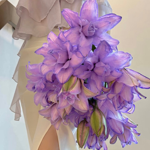 【云花甄选】紫霞仙子吸色重瓣百合花期久鲜花中式玄关装饰有香味