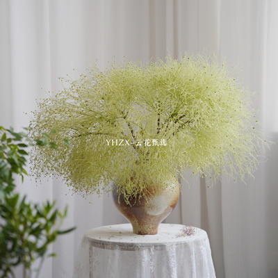 【云花甄选】真的鲜花柔丝瓶插花家居搭配观赏可做干花水养品质好