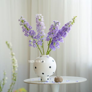 【云花甄选】深紫粉色浅紫色大飞燕家推荐花瓶插云南基地空运发货