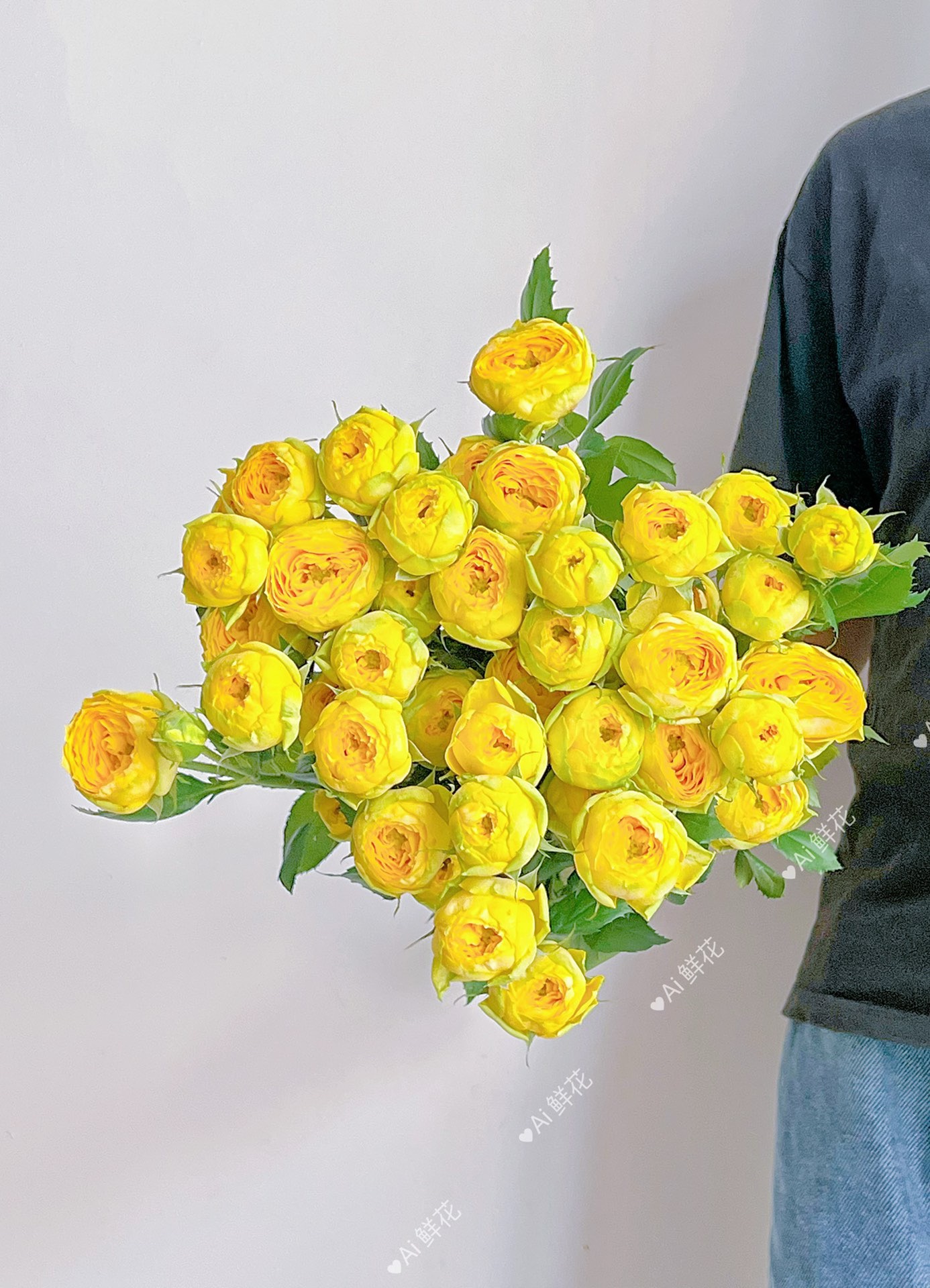 【云花甄选】芝士奶球泡泡玫瑰鲜花云南直发家庭水养情人礼物顺丰