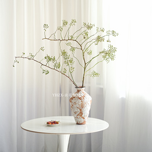 【云花甄选】山归来可做干花绿色花期长云南直发瓶插家庭水养空运