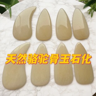 骆驼骨古筝指甲双面玳瑁色  大号中号成人儿童 专业演奏考级遥指