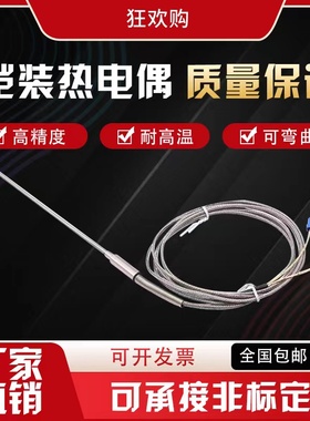 K型PT100/E/J铠装热电偶WRNK-191针型电热偶温度传感器可弯曲探头