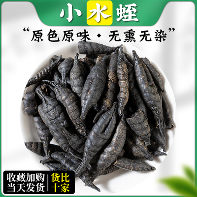 中药材蚂蟥医蛭清水小水蛭干品干货100g克水蛭粉另有全蝎蜈蚣包邮