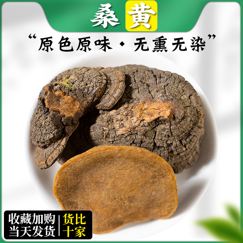 【20年野生桑黄】西藏正宗桑树桑黄正品灵芝桑黄500g克一斤装