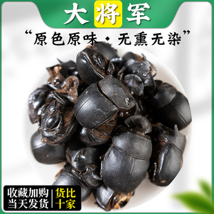 蜣螂中药材100g克 野生屎壳郎 圣甲虫 大将军 清水蜣螂虫 包邮