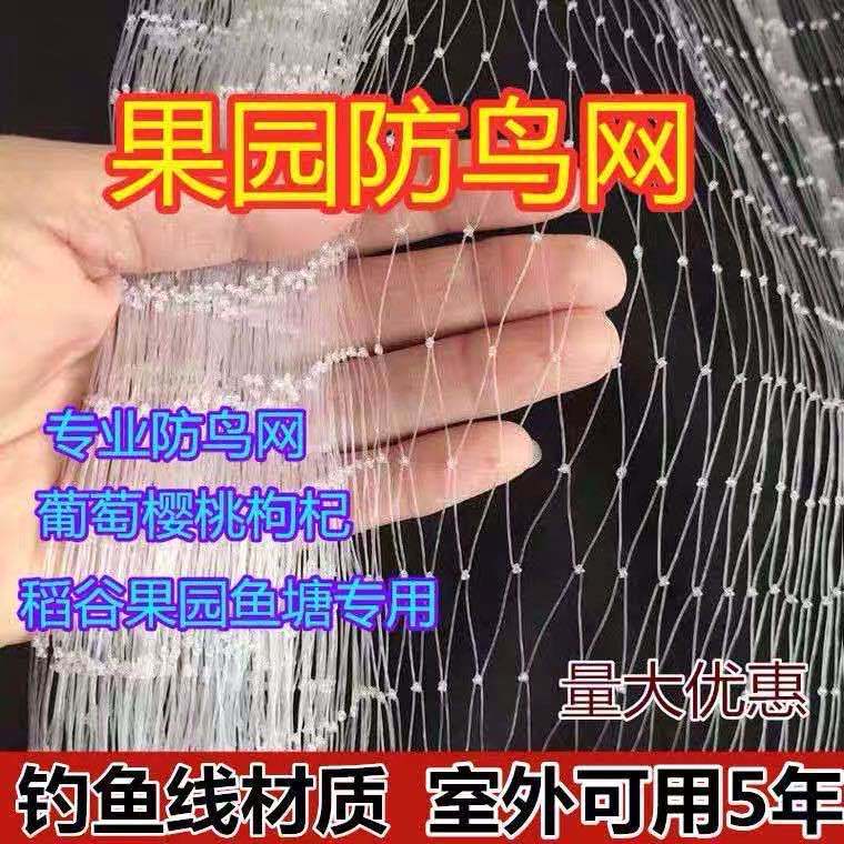 防鸟网防护网量大优惠
