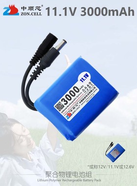 3000mAh聚合物锂电池组11.1V 音响灯具便携设备仪器电源12V