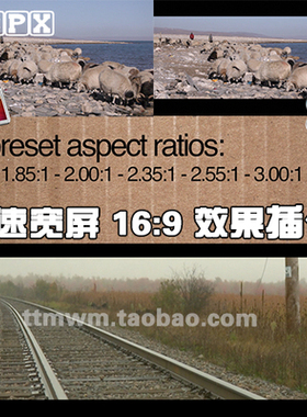 FCPX插件 Widescreen 快速宽屏 16：9效果 插件 final cut pro x