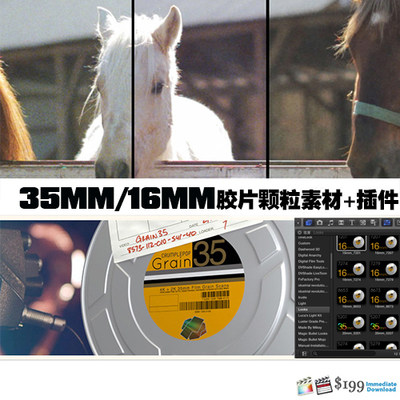 CrumplePop Grain35 35MM/16MM 胶片颗粒 专业视频素材+FCPX插件