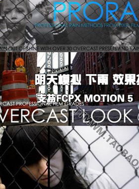 FCPX插件 PRORAIN 阴天 下雨 模拟 效果插件 FINAL CUT PRO X
