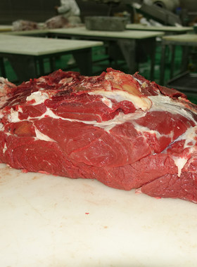 新疆伊犁褐牛 新鲜牛上脑肉 原切牛肩颈肉 Chuck 顺丰包邮