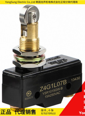 YSL2110GW-B  YSL2210GW-B韩国龙声YongSung直流型微动开关进口