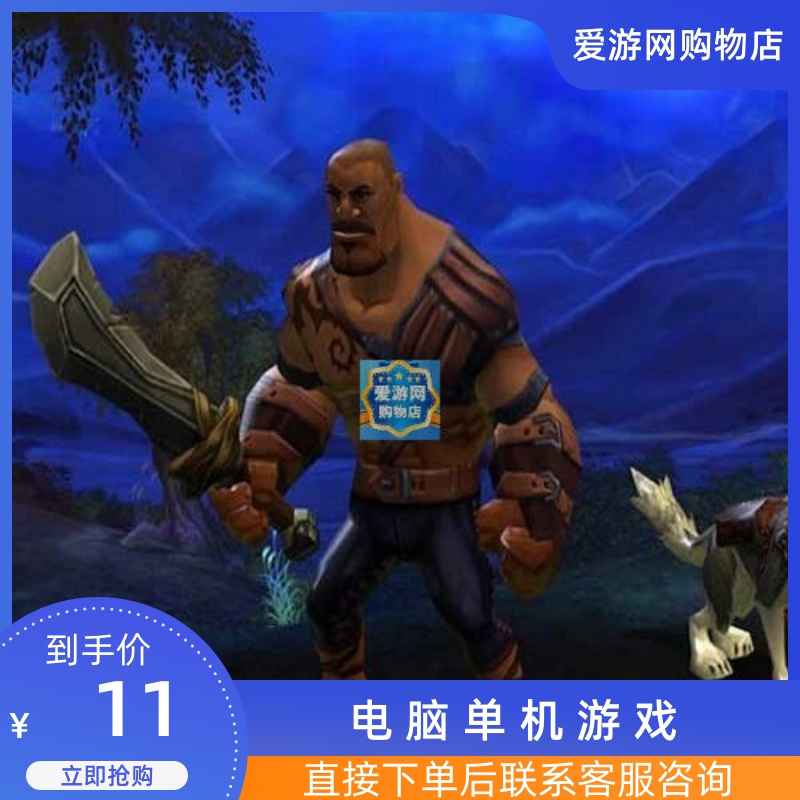 06角色扮演火炬之光正式简体中文版PC电脑单机游戏