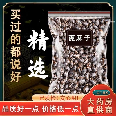 新鲜蓖麻籽种子中药材500g包邮