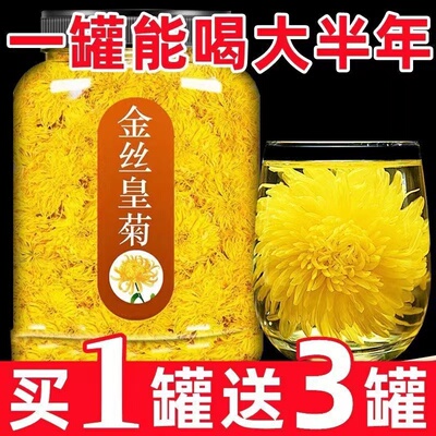 菊花茶菊花金丝皇菊一朵级搭配