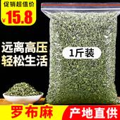 罗布麻非花茶叶 500g特级散装 正品 新疆原产地野生罗布麻嫩芽叶正品