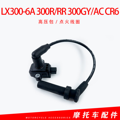 适用隆鑫无极YF300LX300-6A 300R/RR 300GY/AC CR6高压包点火线圈
