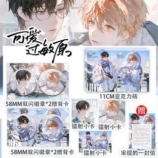 可爱过敏原周边亚克力砖徽章吧唧镭射小卡双闪谷子衍生周边第二期