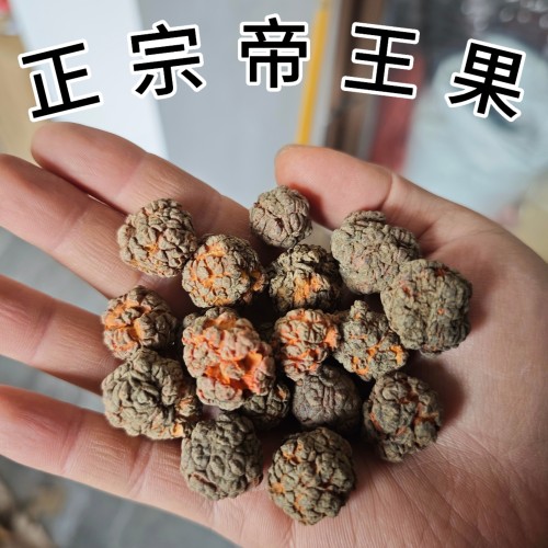 帝王果野生帝王果可搭紫杉果