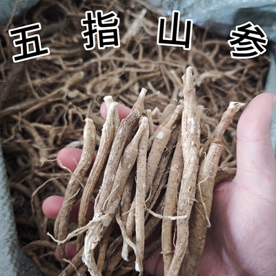 天然晾晒五指山参干货1斤装