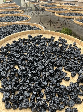 三蒸三晒九蒸九晒若羌灰枣600g正宗新疆特级大枣子黑枣蜜枣红枣干