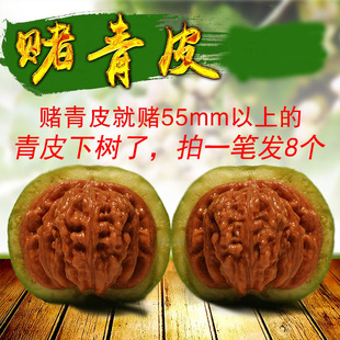 文玩核桃赌青皮四座楼白狮子头王勇麒麟纹官帽青皮麻核桃虎头青皮