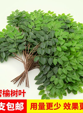 仿真树叶塑料树枝绿叶造景叶子