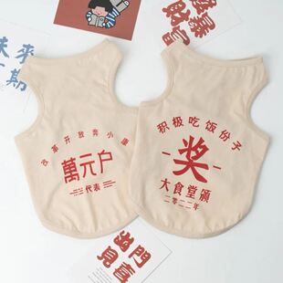 复古猫咪衣服秋冬德文司芬克斯无毛猫衣服春夏宠物狗狗背心空调服