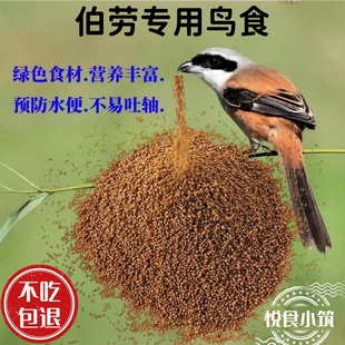 伯劳饲料伯劳鸟食提性壮肥膘不吐轴靓羽大唱高营养伯劳鸟专用粮